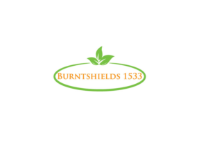 Logo-Design von Oaxaqueña für Burntshields Ltd | Design: #16360910