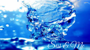 Logo Design by IconicEcho for Sisi & Me | Design: #16195479