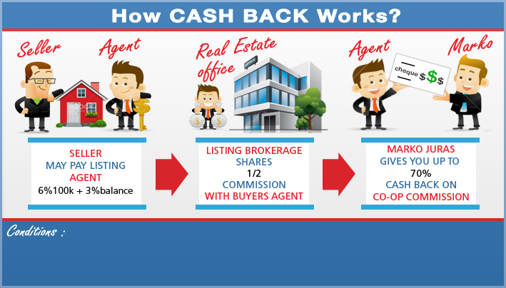 Infographic Design by neboica for this project | Design #2643297