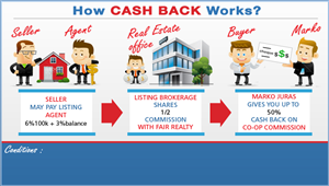 Illustration / Infographic for REALTOR® | Diseño Infográfico por neboica