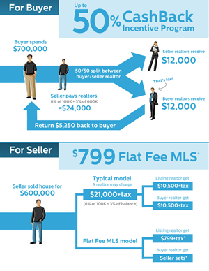 Infographic Design by CanonShooter