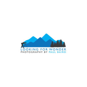 Logo Design by LogoToGoStudio for Pinnacle Chiropractic and Spinal Rehabilitation Inc | Design: #16142644