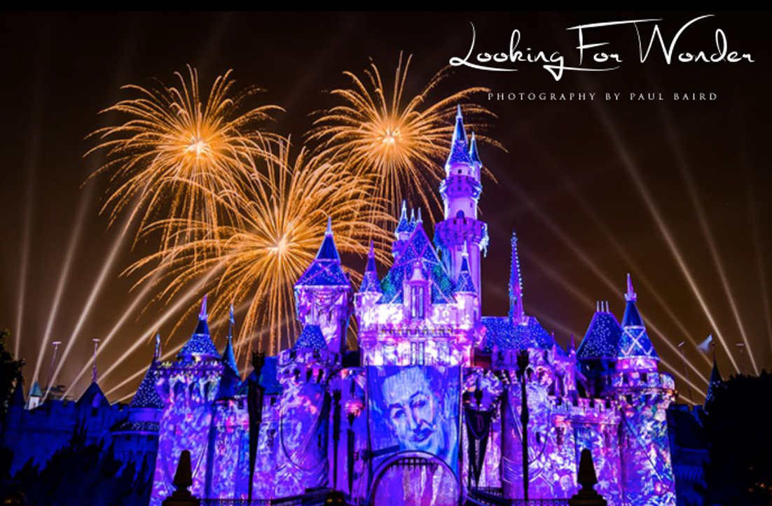 Logo Design by GLDesigns for Pinnacle Chiropractic and Spinal Rehabilitation Inc | Design #16142587