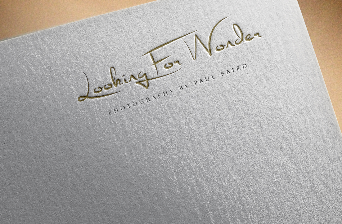 Logo Design by GLDesigns for Pinnacle Chiropractic and Spinal Rehabilitation Inc | Design #16142588