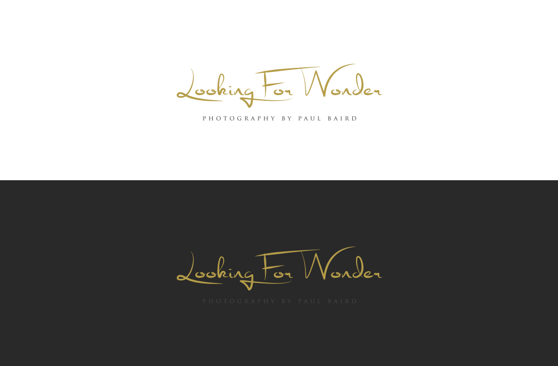 Logo Design by GLDesigns for Pinnacle Chiropractic and Spinal Rehabilitation Inc | Design #16142589