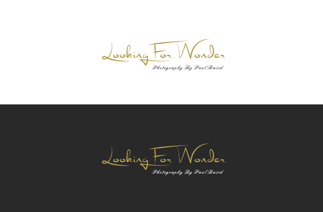Logo-Design von GLDesigns für Pinnacle Chiropractic and Spinal Rehabilitation Inc | Design #16168225