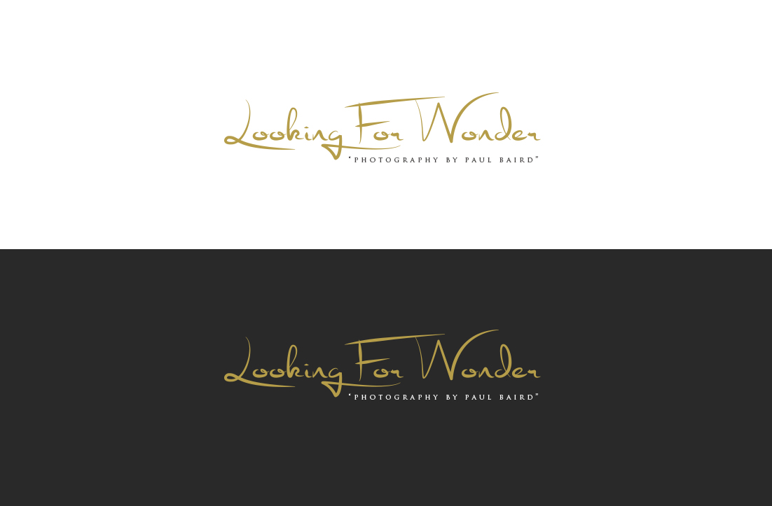 Diseño de Logo por GLDesigns para Pinnacle Chiropractic and Spinal Rehabilitation Inc | Diseño #16223826