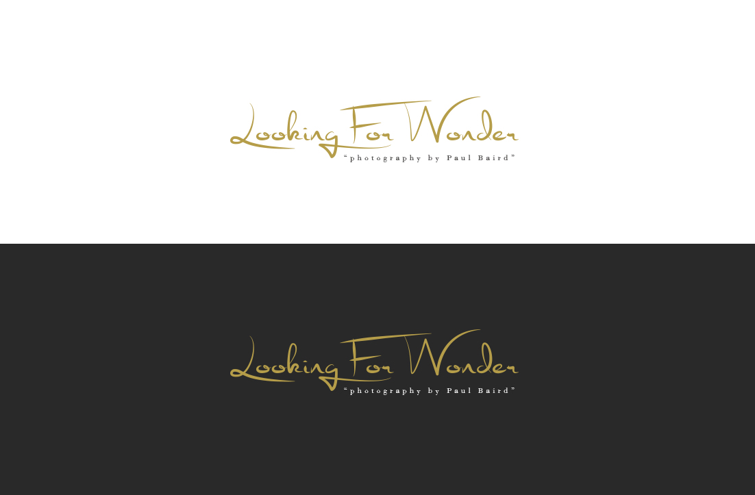 Logo Design by GLDesigns for Pinnacle Chiropractic and Spinal Rehabilitation Inc | Design #16230481