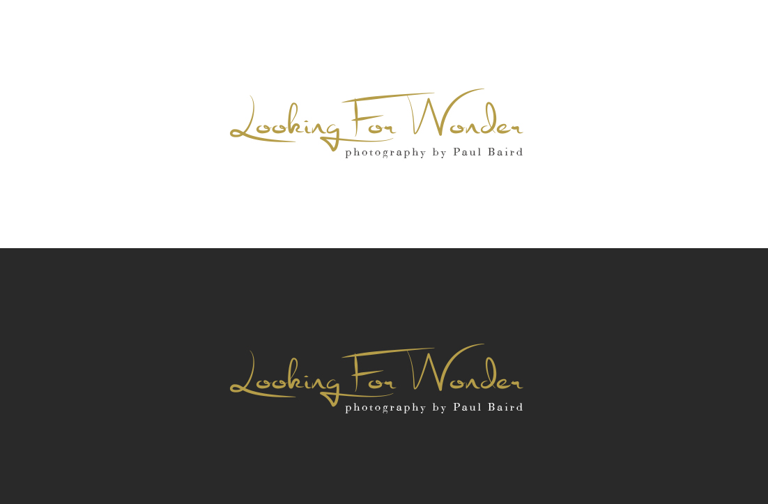 Logo Design by GLDesigns for Pinnacle Chiropractic and Spinal Rehabilitation Inc | Design #16246234