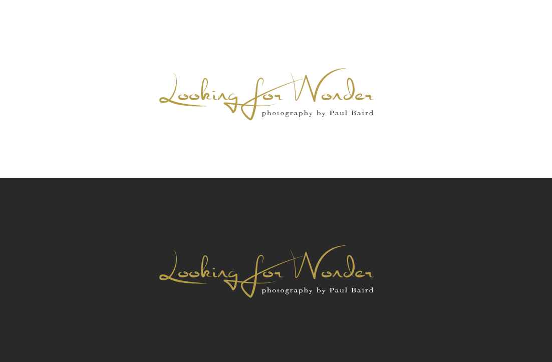 Logo Design by GLDesigns for Pinnacle Chiropractic and Spinal Rehabilitation Inc | Design #16246846