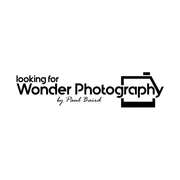 Logo Design by creative.bugs for Pinnacle Chiropractic and Spinal Rehabilitation Inc | Design #16150486