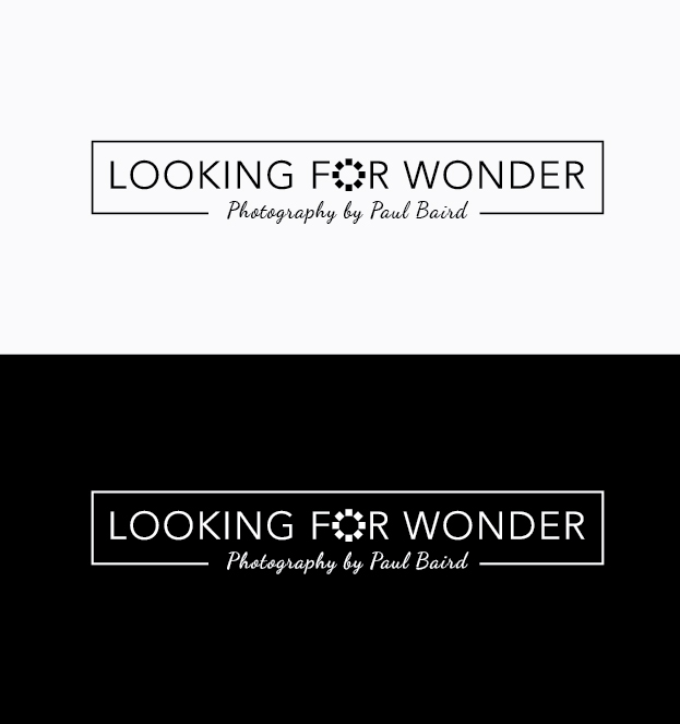 Logo Design by ngahoang1711 for Pinnacle Chiropractic and Spinal Rehabilitation Inc | Design #16537759