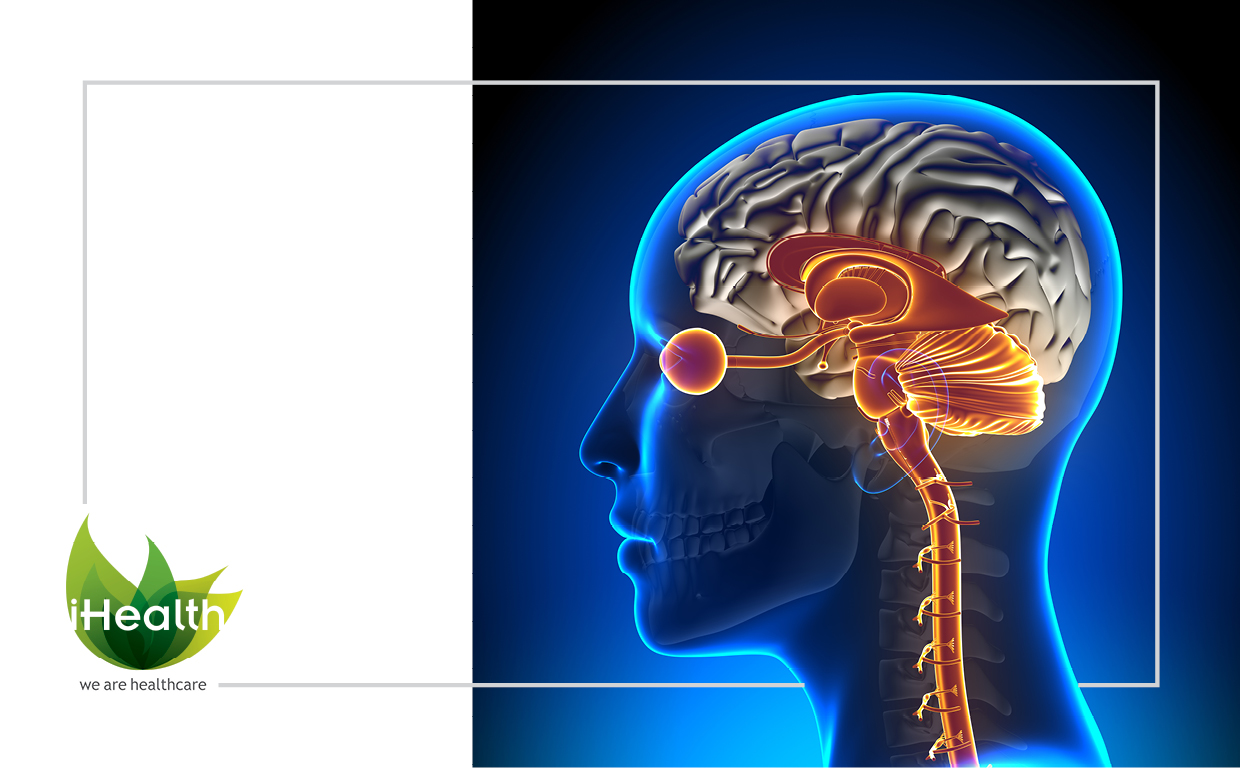 Brochure Design by DesignFive for iHealthcare Victoria Inc. | Design #16191187