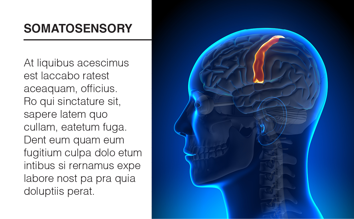 Brochure Design by DesignFive for iHealthcare Victoria Inc. | Design #16191188