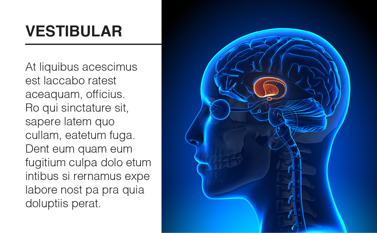 Brochure Design by DesignFive for iHealthcare Victoria Inc. | Design #16191189