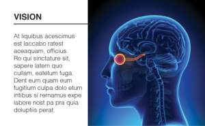 transparent 3D concussion booklet | Brochure Design by DesignFive