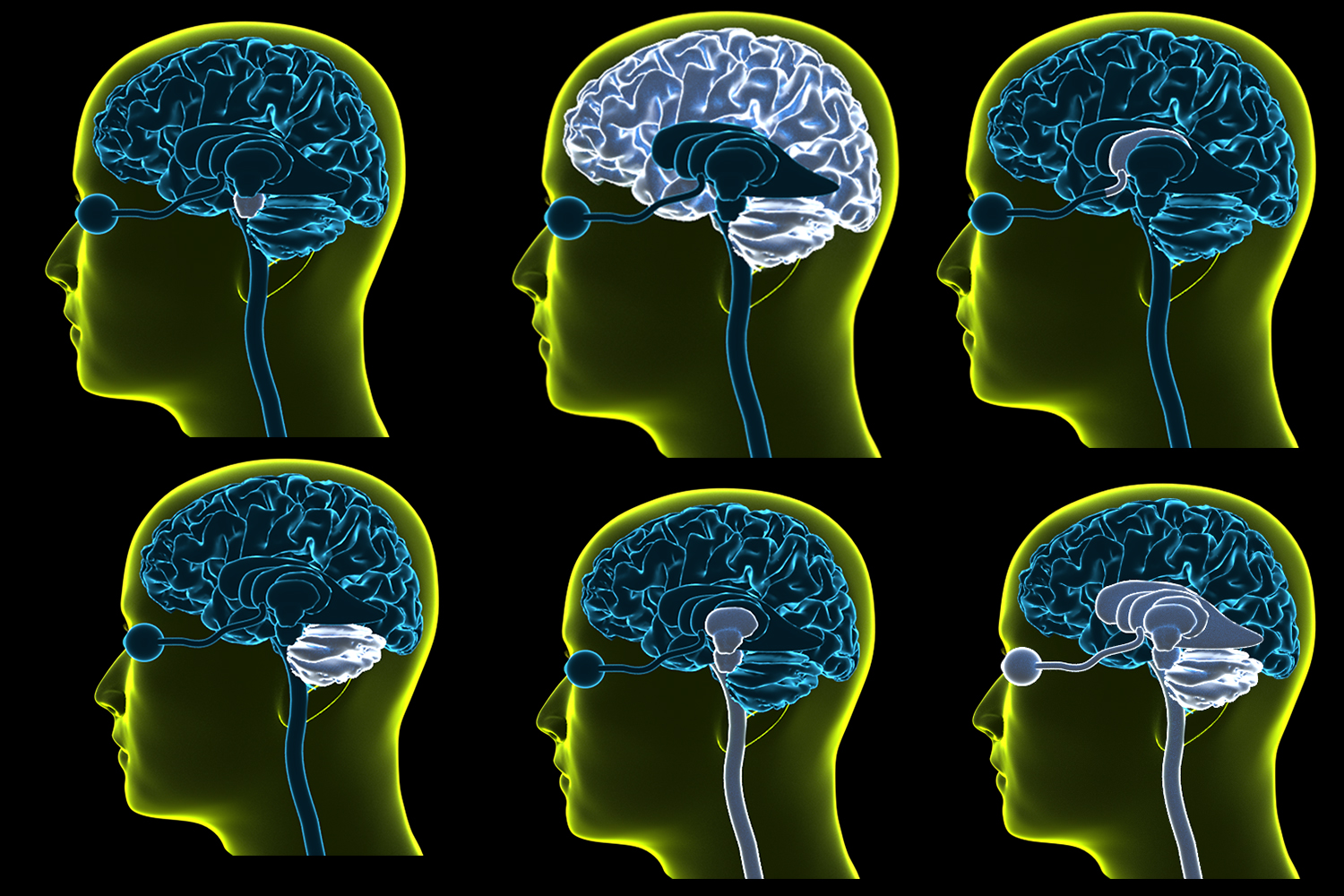 Brochure Design by Kwasi for iHealthcare Victoria Inc. | Design #16249401