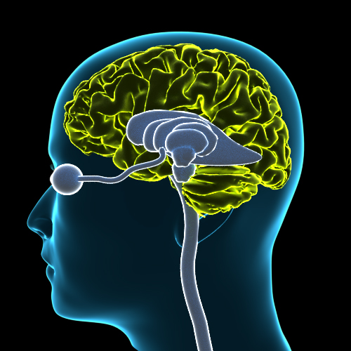 Brochure Design by Kwasi for iHealthcare Victoria Inc. | Design #16251598