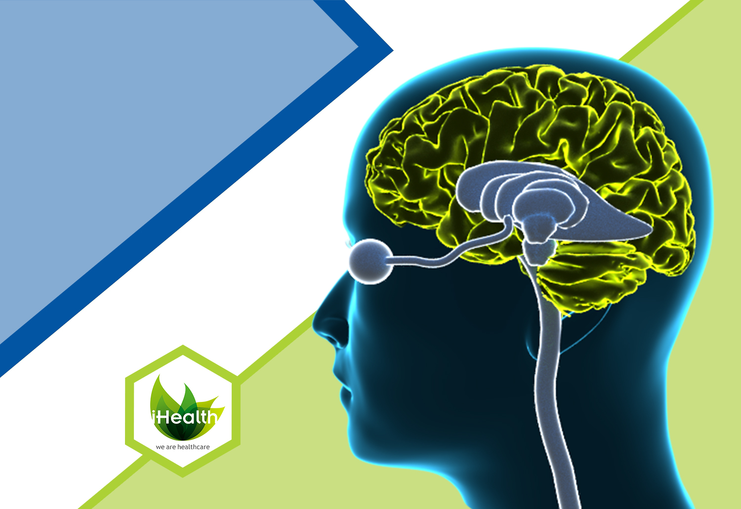 Brochure Design by Kwasi for iHealthcare Victoria Inc. | Design #16251742