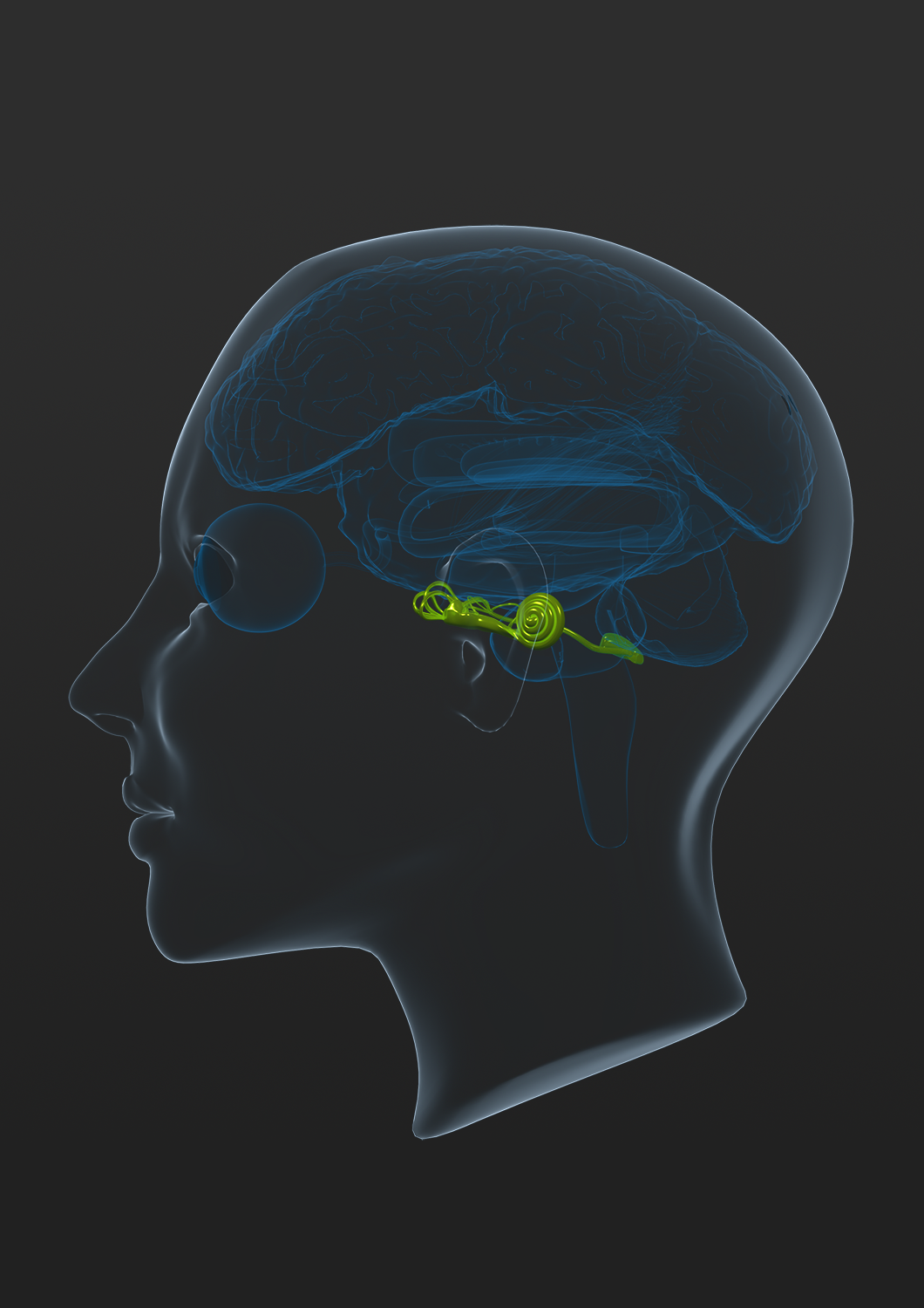 Brochure Design by Pepper A. for iHealthcare Victoria Inc. | Design #16254738