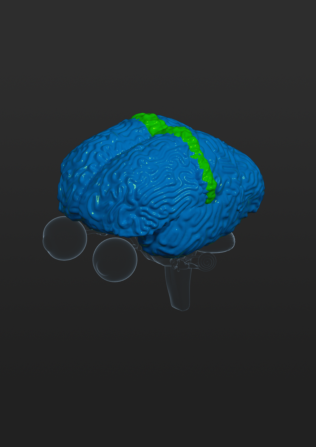 Brochure Design by Pepper A. for iHealthcare Victoria Inc. | Design #16266059