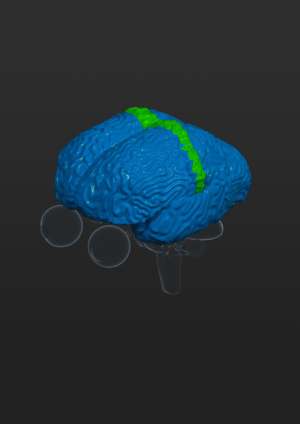 Brochure Design by Pepper A. for iHealthcare Victoria Inc. | Design: #16266059