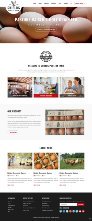 Web Design par pb pour ce projet | Design : #16209186