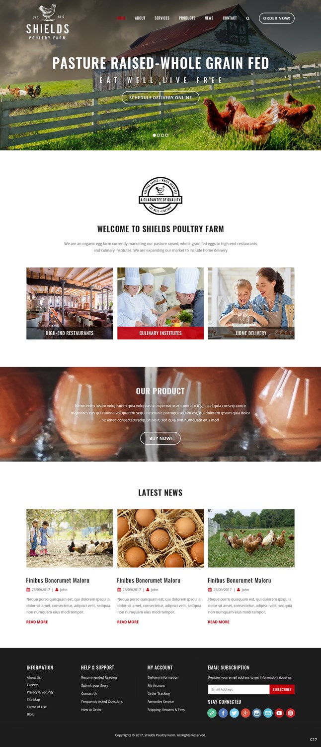Web Design par pb pour ce projet | Design #16209187