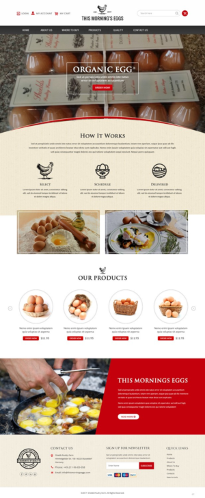 Web-Design von pb
