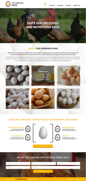 Web Design by abhishek 4
