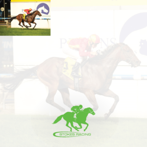 Logo Design by Adnan Ansari for this project | Design: #16199054