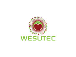 Logo Design by roman reings