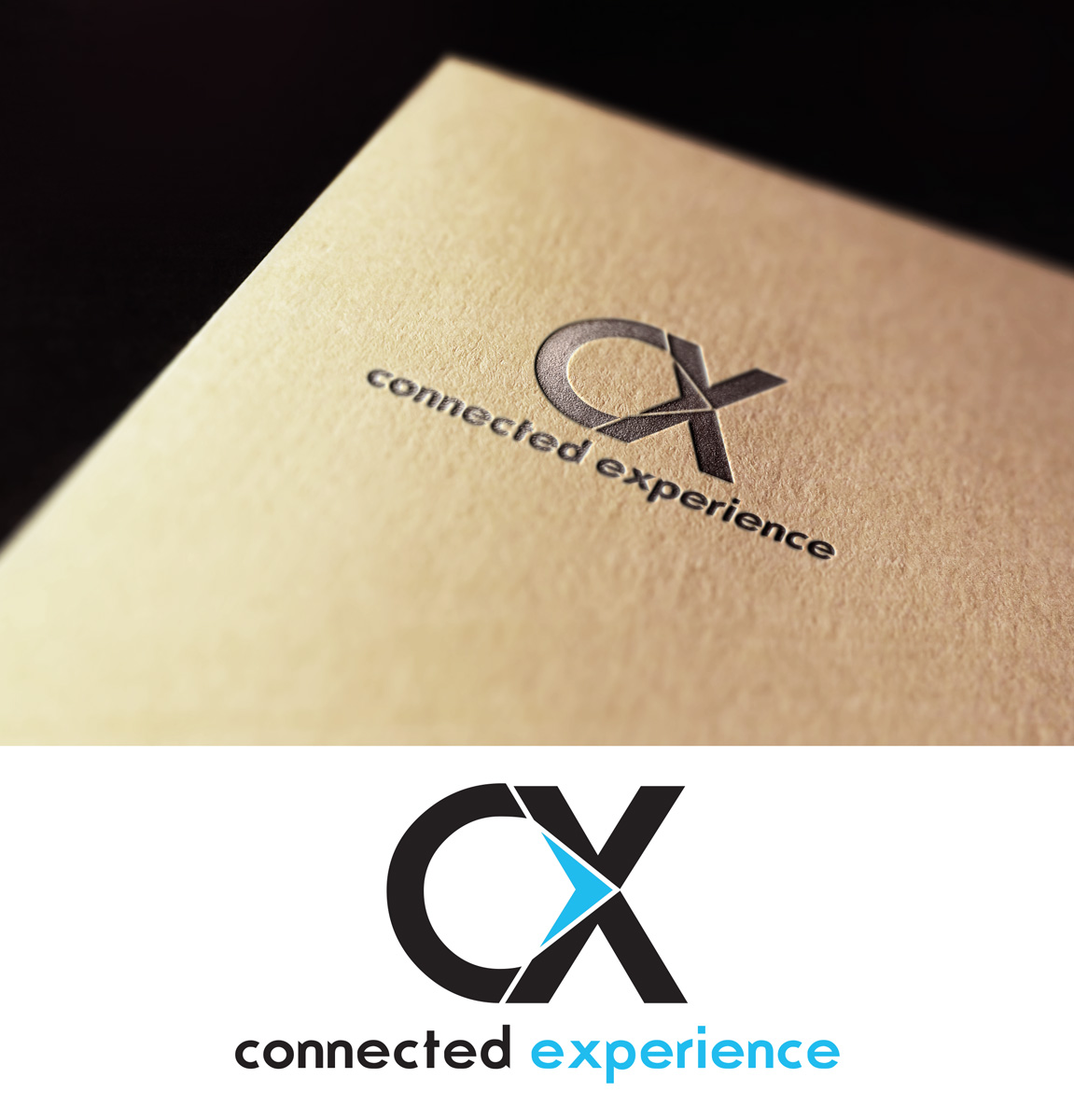 Logo Design by Impressive Solutions for AMERIA AG | Design #16160886