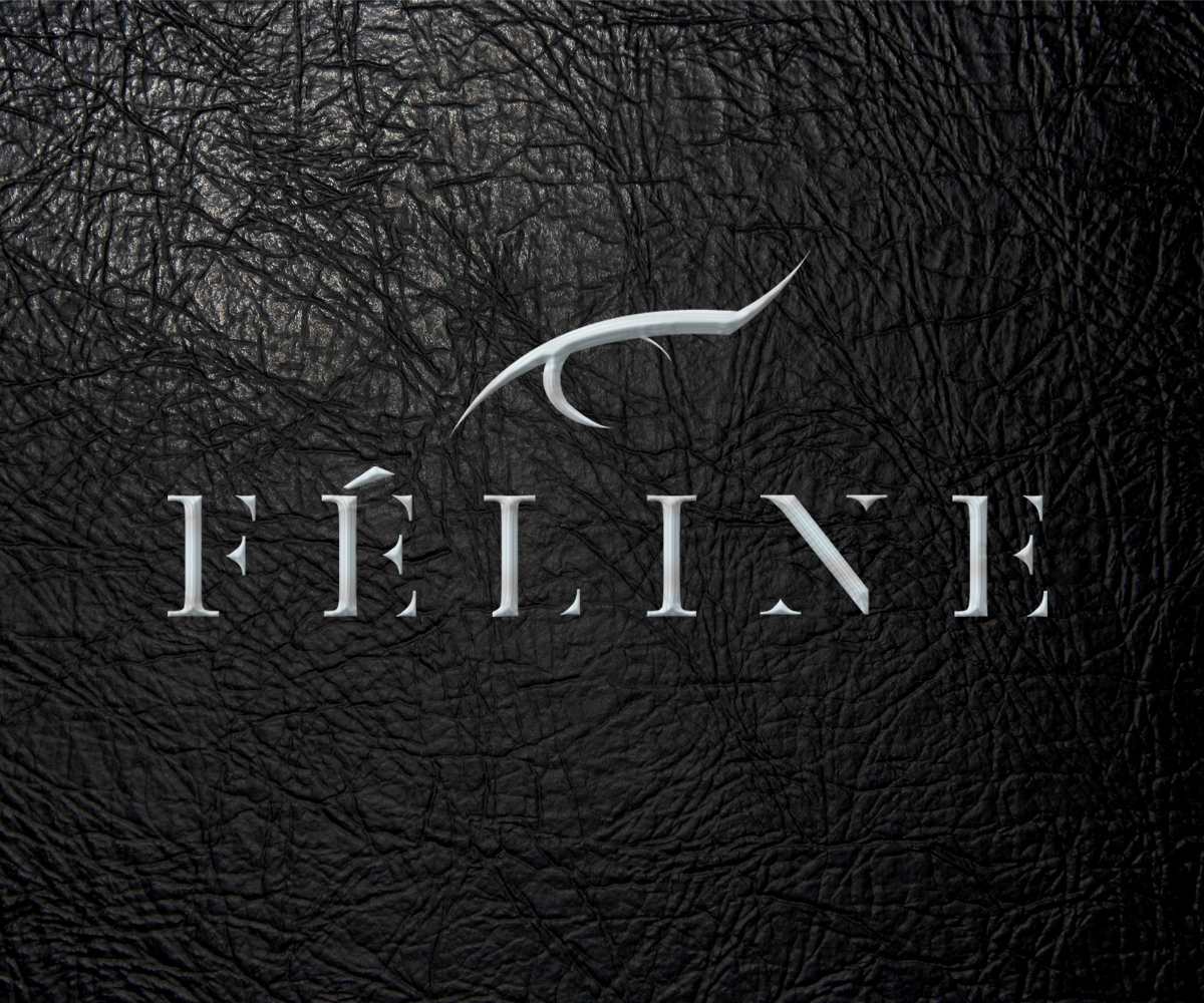 Diseño de Logo por CGDesigns para este proyecto | Diseño #2640074