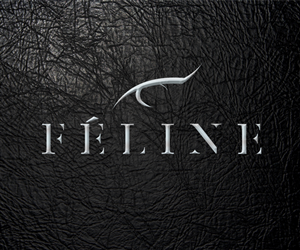 Logo Design by CGDesigns