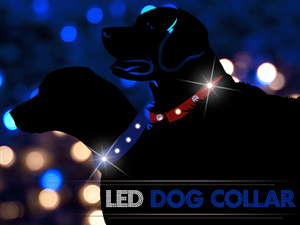 Banner Ad Design by Mila@CreativeMotions.com