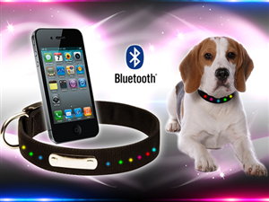 Banner Ad Design by FalaBogu