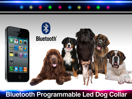 Design de Bannière  par FalaBogu pour ce projet | Design #2658915