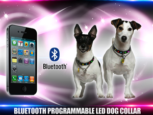 Banner Ad Design by FalaBogu for this project | Design #2658918