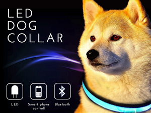 Banner Ad Design by FutureDesigne for this project | Design #2664964