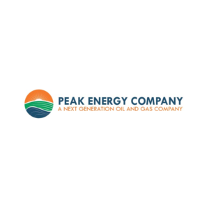 Logo Design by Design Possibilities for this project | Design: #16262017