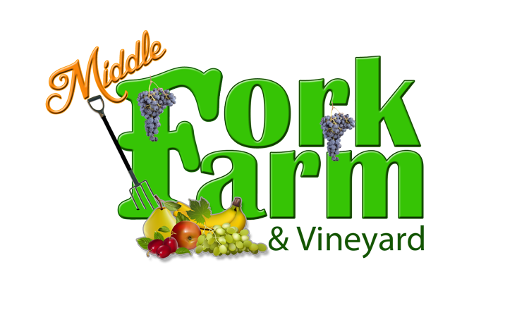 Logo Design by Deon Strydom for this project | Design #2635793