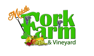 Logo Design by Deon Strydom
