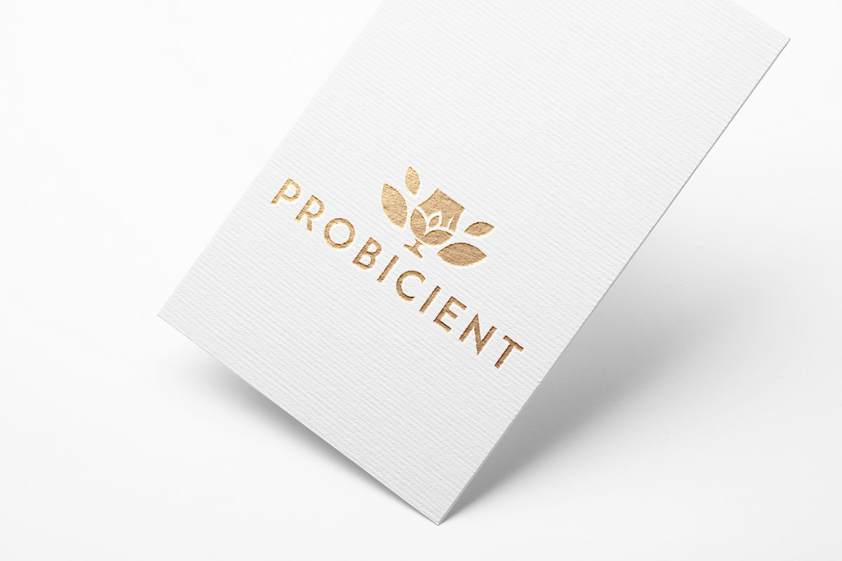 Logo Design by :: for Origgin Pte Ltd | Design #16206812
