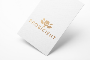 Logo Design by :: for Origgin Pte Ltd | Design: #16206812