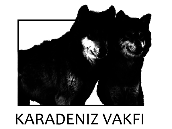 Logo Design by Pixel Pix for kapicioglu insaat | Design #614846