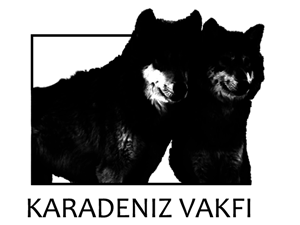 Logo Design by Pixel Pix for kapicioglu insaat | Design: #614846