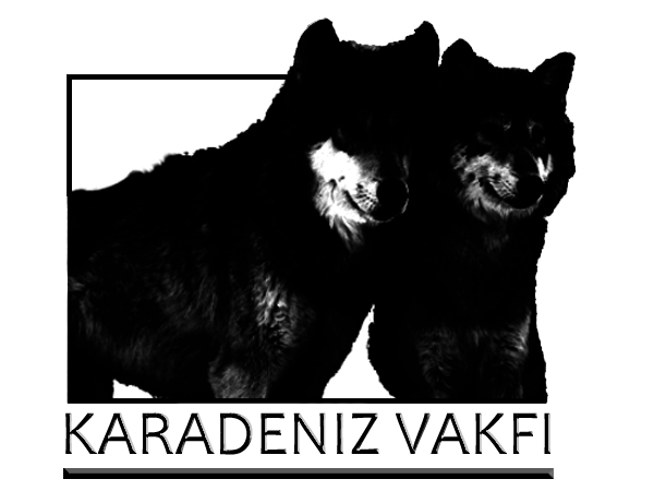 Logo Design by Pixel Pix for kapicioglu insaat | Design #614847