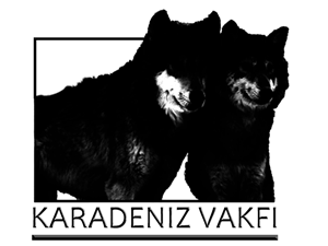 Logo Design by Pixel Pix for kapicioglu insaat | Design: #614847