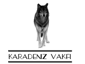 Logo Design by Pixel Pix for kapicioglu insaat | Design: #614849